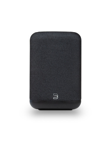 Bluesound Pulse Flex (2025)