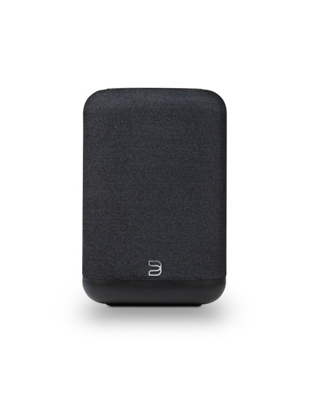 Bluesound Pulse Flex (2025)