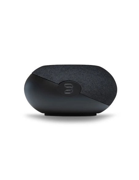 Bluesound Plus Cinema Mini
