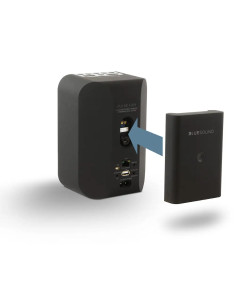 Bluesound Pulse Flex Battery Pack