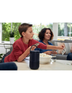 Bose Portable Home Speaker 2