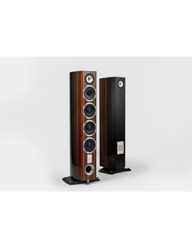 Magelan Quatuor 40th