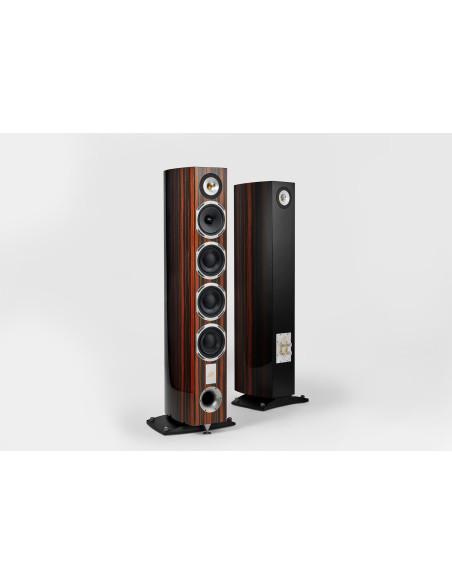 Magelan Quatuor 40th